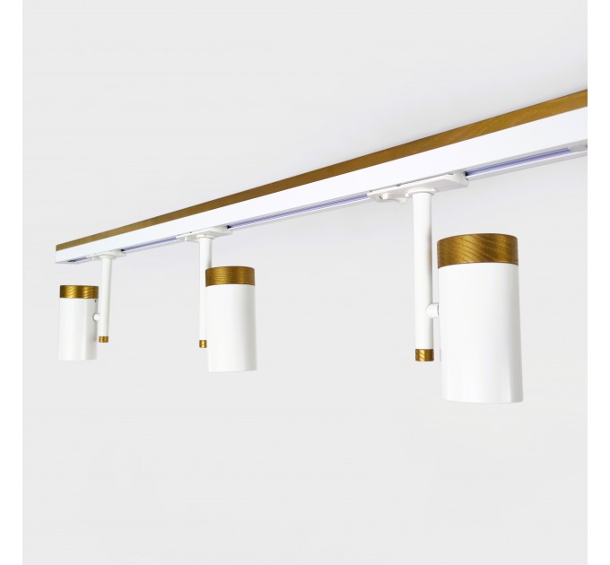 Світильник трековий Sierra Gold Стельове освітлення