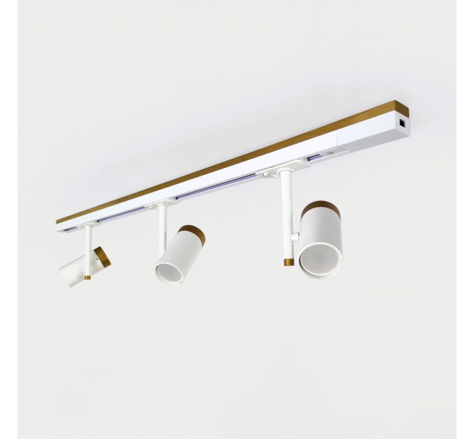 Світильник трековий Sierra Gold Стельове освітлення